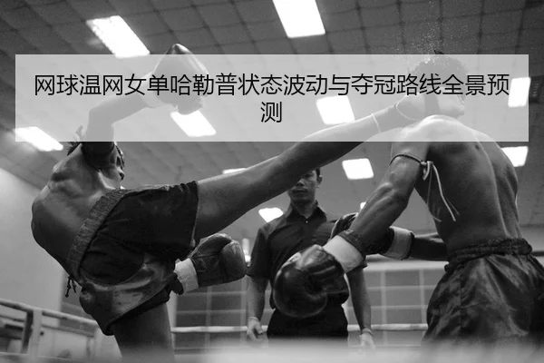 wang-qiu-wen-wang-nv-dan-ha-lei-pu-zhuang-tai-bo-dong-yu-duo-guan-lu-xian-quan-jing-yu-ce-2-505.jpg